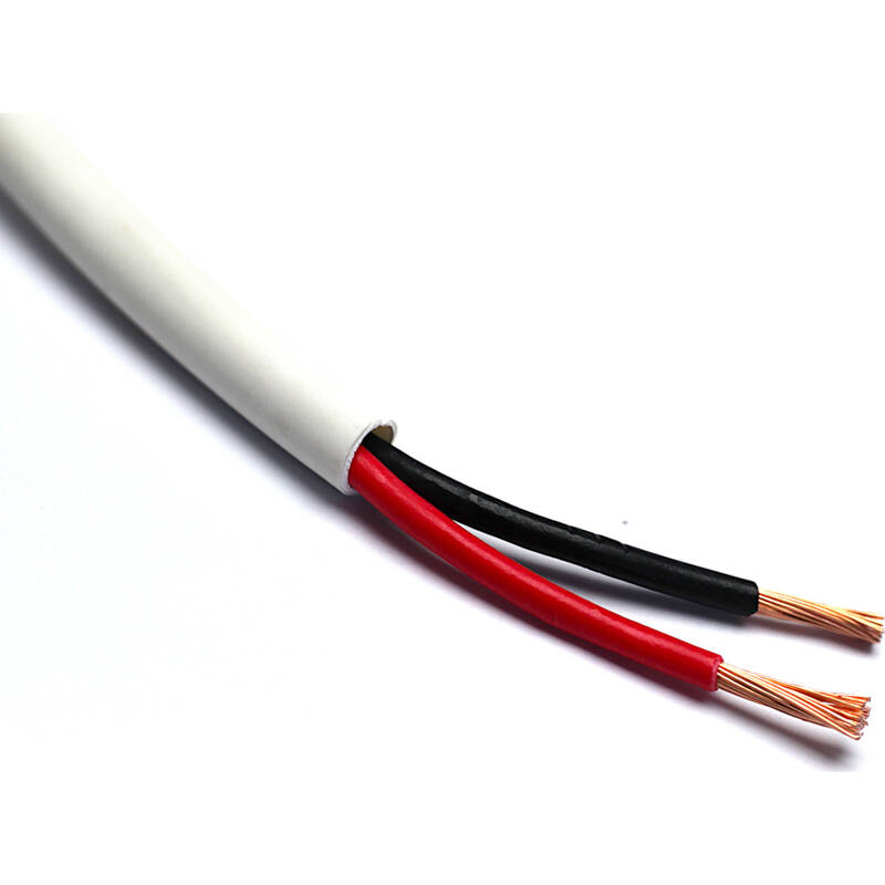 APKR SPEAKER CABLE 2.5MM